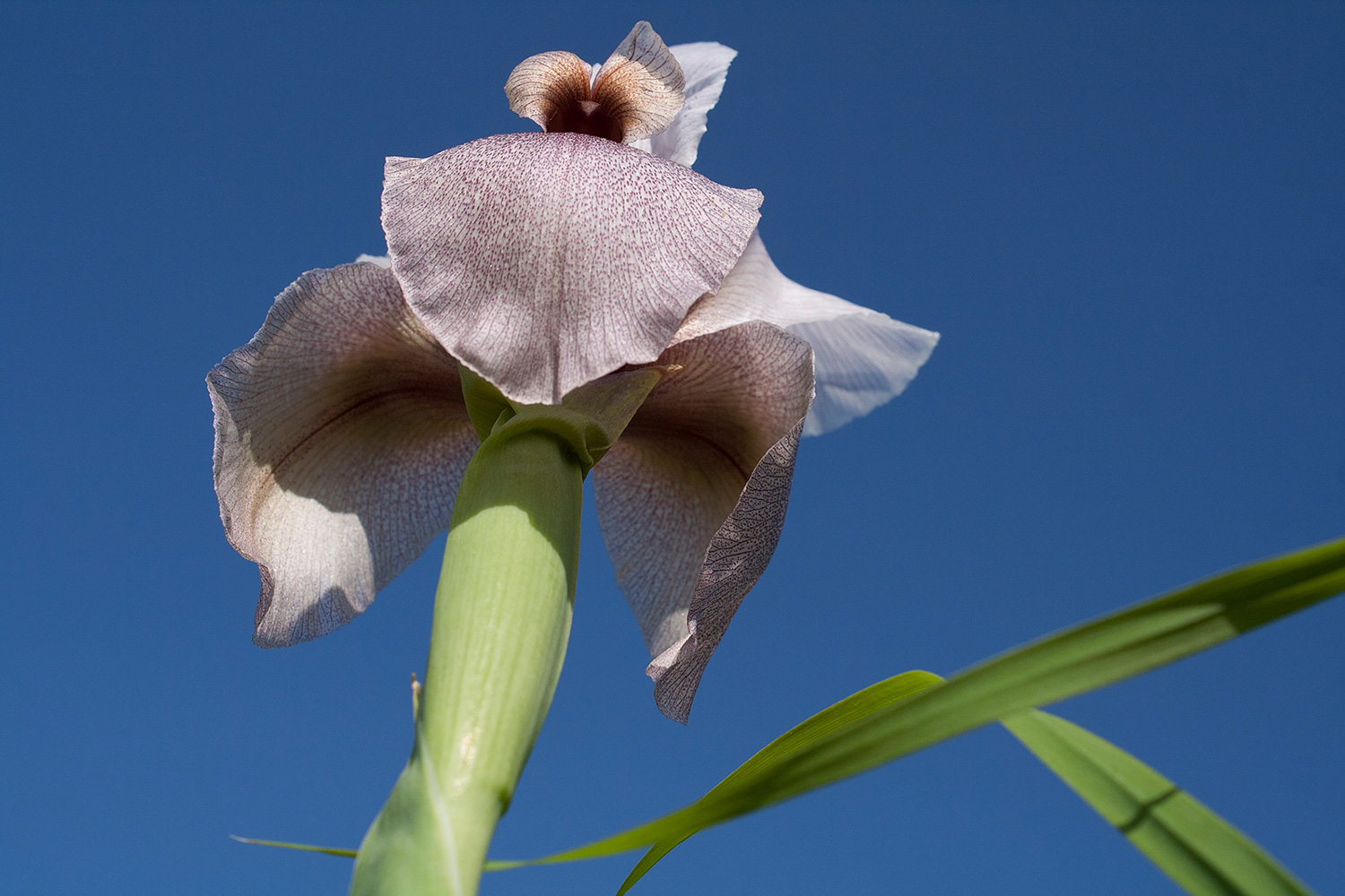 Tips Embed Color Profile Oren Hasson's Art of Photography